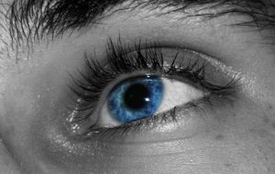 Eye color is an inherited physical trait.