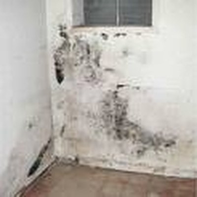 What Causes Mold in a House?