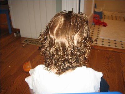 Mullet