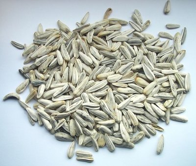 Foods High in Omega-6 Fats