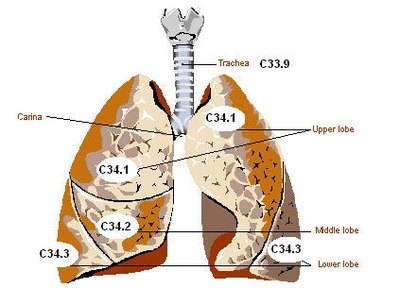 List of Pulmonary Diseases