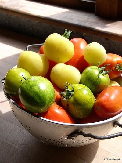 Tomatoes
