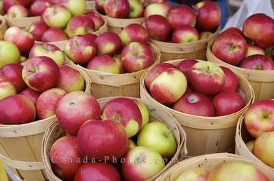 canada-photos.com