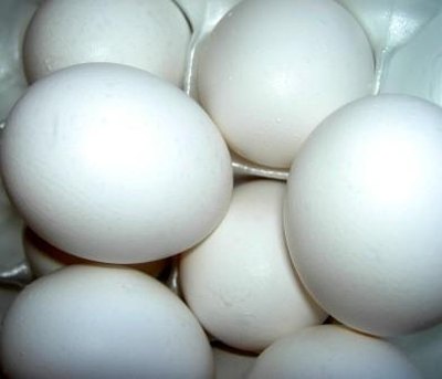 Eggs