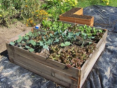 Planter box
