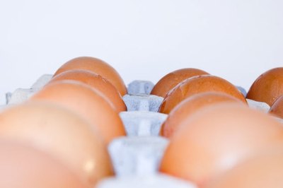 Recommended Daily Protein Intake