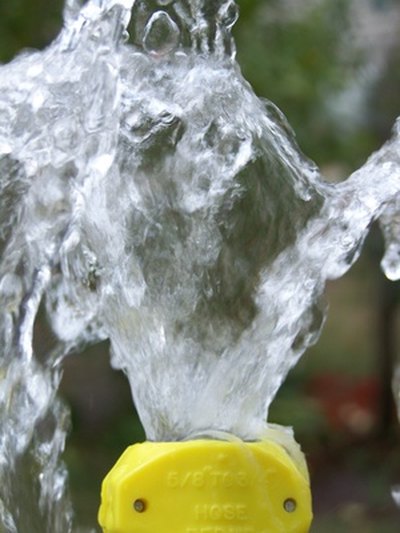 Gallons needed per tree vary.