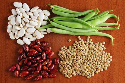 A diet rich in choline and methionine is important in maintaining overall health.