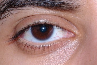 Intrinsic ocular muscles control the lens and pupil size.