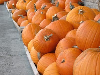 Rolling pumpkins (or apples if playing indoors) is a fun fall-themed activity.