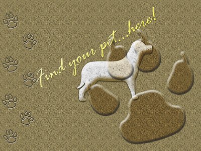 Find your pet here!