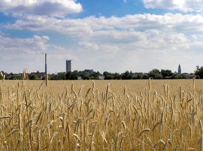 Field