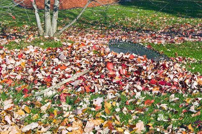 Rake leaves and shape up your yard to enhance curb appeal.