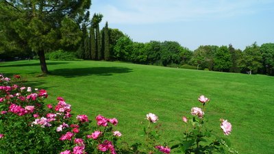 Nature gets a nudge from fertilizer.