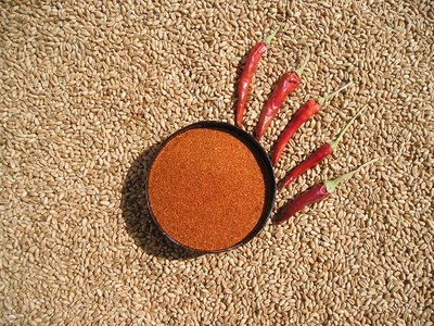 Chili powder is a "hot" dog repellent.
