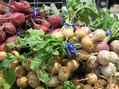 Root vegetables grow well in partial shade.