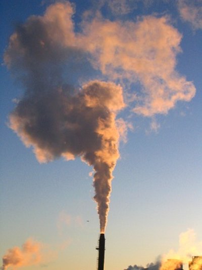 Environmental pollutants may also trigger tics.