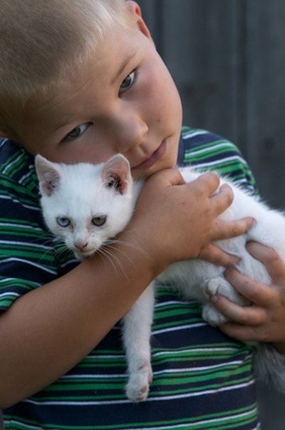 Hartz flea and tick treatments are not recommended for children's pets.