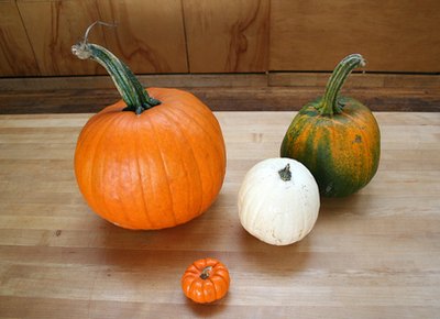 Use small pumpkins to make the game more challenging.