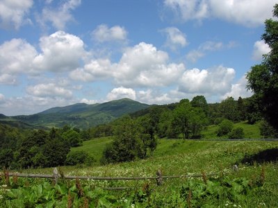The Cheat Mountain Salamander offers a nine-hour mountain journey.