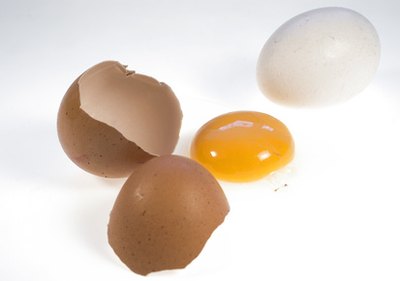 Brown or white, an egg is one of the highest quality proteins.