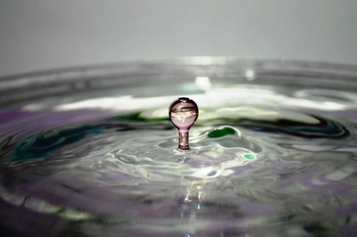 Water is essential for tree growth.