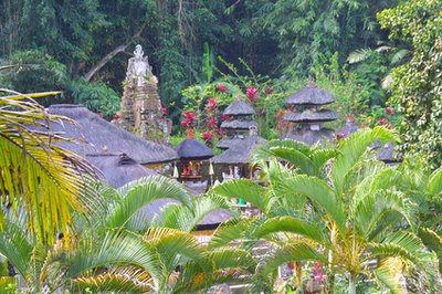 Commercial Opportunity in Bali