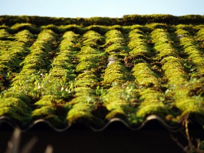 Spray foam roofing needs a clean surface to adhere effectively.