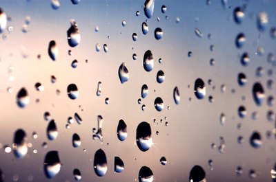 Rain or a sprinkler is necessary in 48 hours.