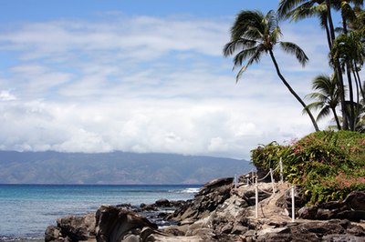 Throw a luau bash.