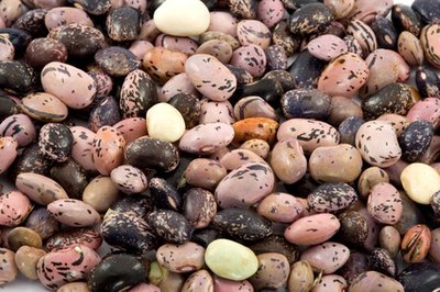 Beans protect the body from colds in spring and autumn by expelling moisture.