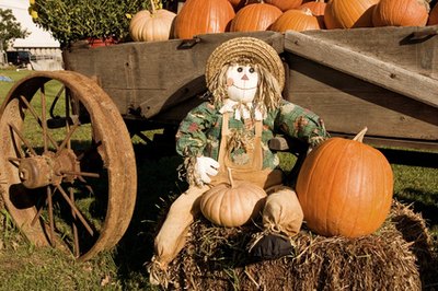 Pumpkins can be used as a decoration and a game item at your fall party.