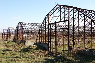 Building four greenhouses.