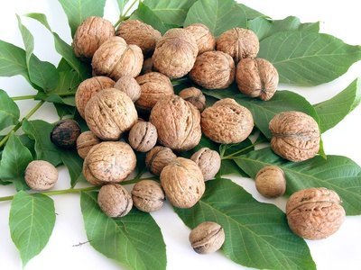 Nuts pack a protein punch without excessive purine levels.