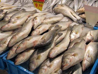 Omega-3 fatty acids found in fish will boost memory.