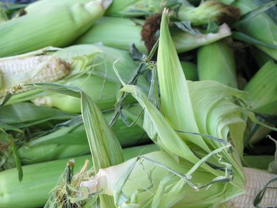 After the corn husking race, cook and enjoy the fresh corn with butter and salt.