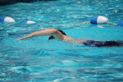 Predaceous diving beetles are the most likely beetle to invade pools.