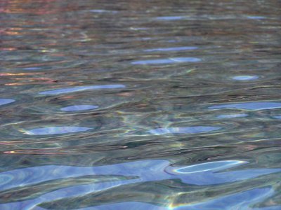 Without swamps and marshes, this river water would not be nearly as clear.