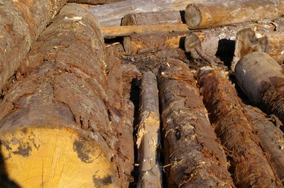 Deforestation reduces land productivity.