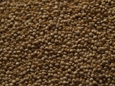 Quinoa has all the essential amino acids and can be used in place of rice or pasta.