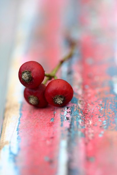 Scandinavian design brings the outdoors indoors with natural colors and shapes.