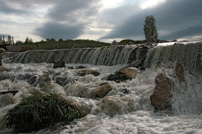 Swamps and marshes prevent flooding.