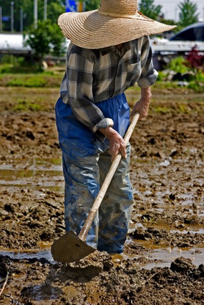 Avoid over watering poorly draining soil