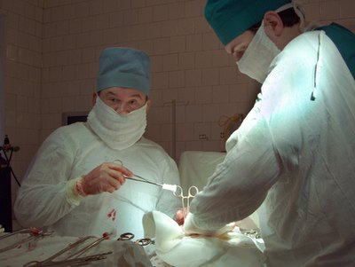 Winding blood vessels make some surgeries difficult and dangerous.