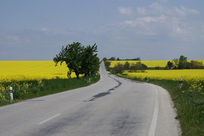Chip seals protect less frequently traveled roads.
