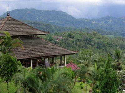 Bali Making a Business Decision