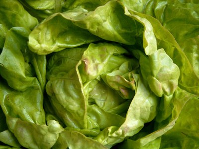 Plant leaf lettuce in partial shade and water regularly.