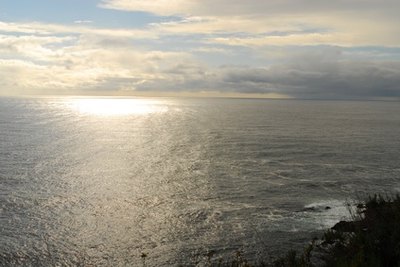 Hawaii’s first immigrants navigated canoes across much of the Pacific Ocean.
