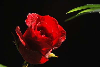 Romantic parties can forge lasting memories.