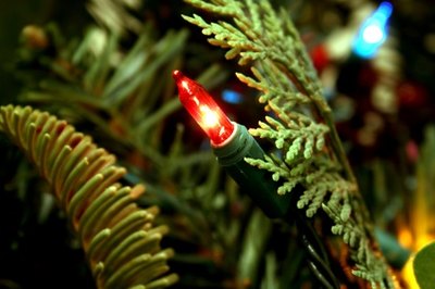Christmas lights come in a variety of colors.